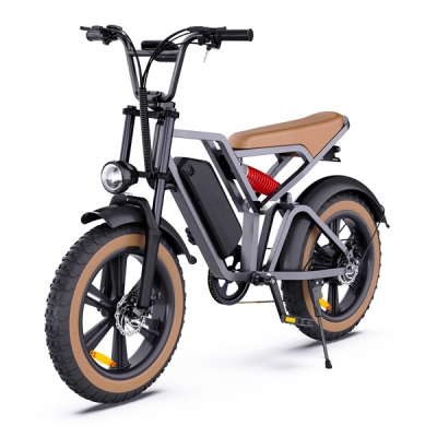 Fatbike EU warehouse 250w 750w1000w V20 elektrische fiets electric fat tire e bike Netherlands for all terrain